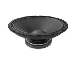 Woofer 15″ 800W