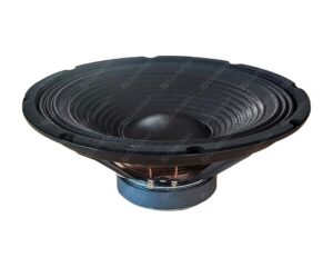 Wooder altoparlante 10" 4 ohm