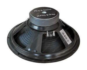 Wooder altoparlante 10" 4 ohm